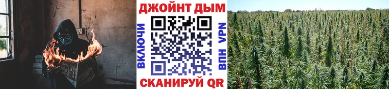 купить   Власиха  Марихуана план 